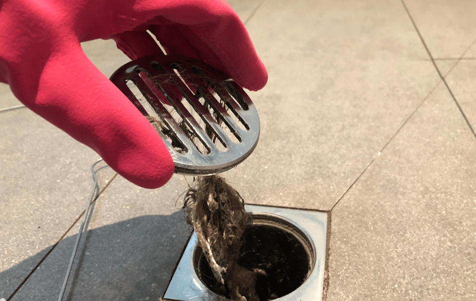 shower drain cleaning